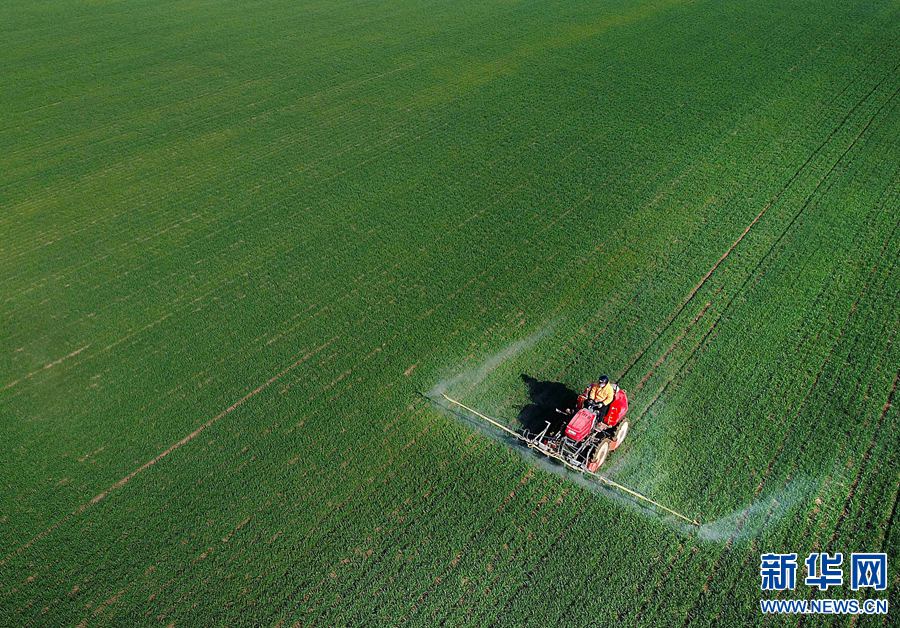 春風(fēng)拂綠農(nóng)事忙 春風(fēng)拂綠農(nóng)事忙