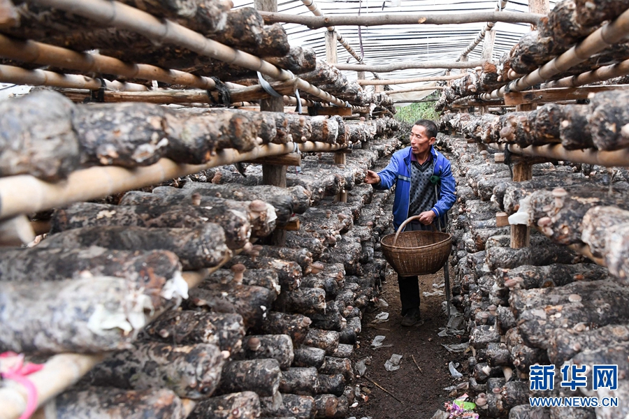 ɽ^(q)rNֲ㹽ӴÓؚ¸