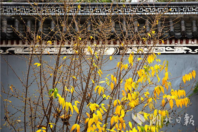 1226ںwԭﾰ^(q)ԭ(ni)ĔzϞ÷