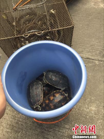 420֘I(y)ֽMɭֹȈ(zh)ˆTͻur(nng)wɼҲ^@Ұ(dng)һܞt z